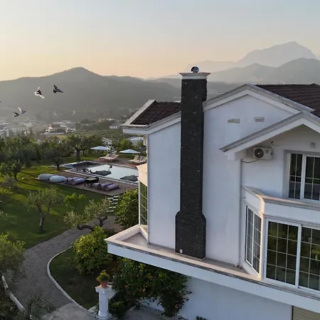 Kamila * Тирана